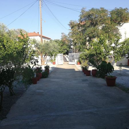 利昂尼迪翁Sunny Cozy House With Grand Courtyard公寓 外观 照片