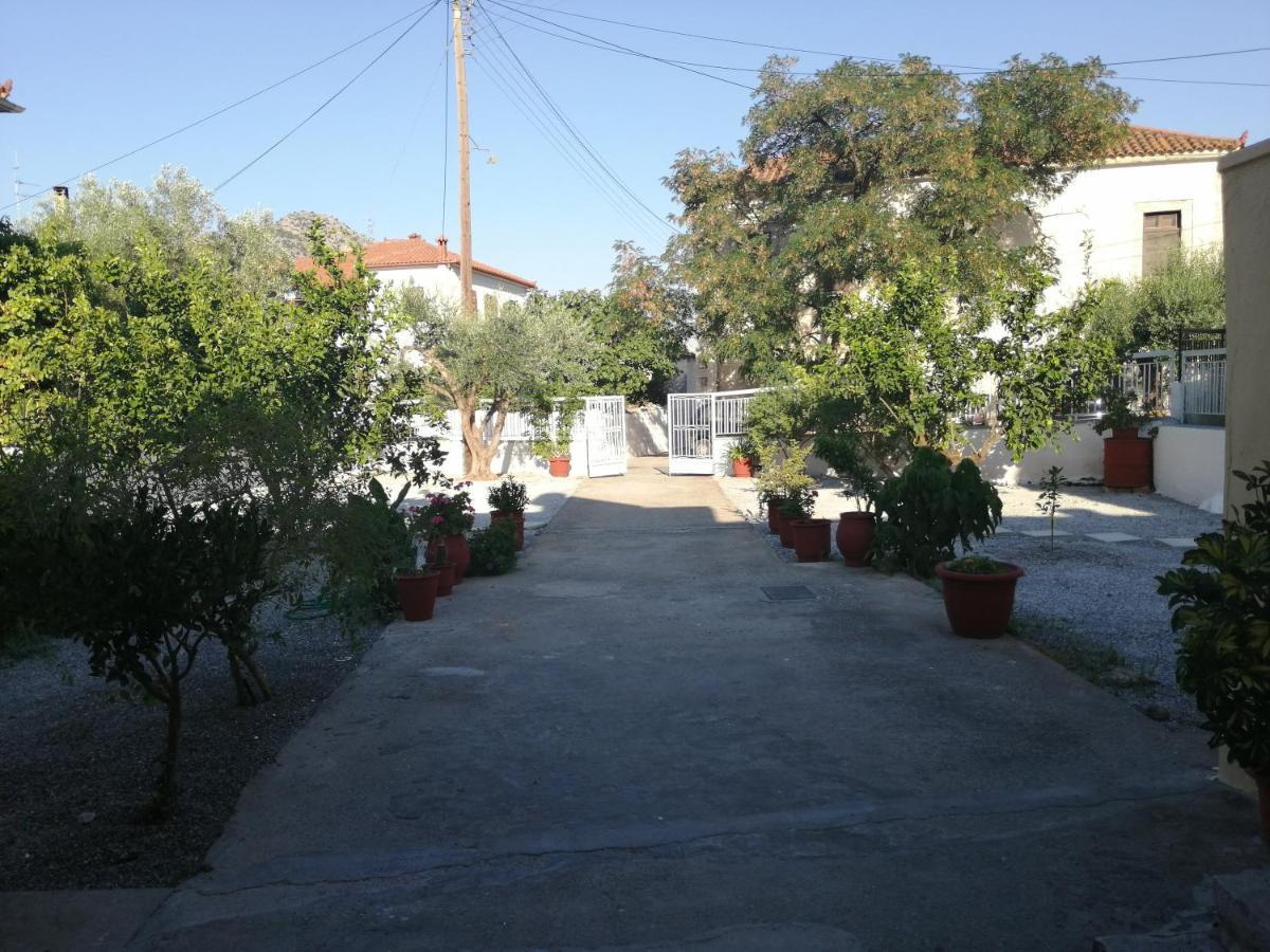 利昂尼迪翁Sunny Cozy House With Grand Courtyard公寓 外观 照片
